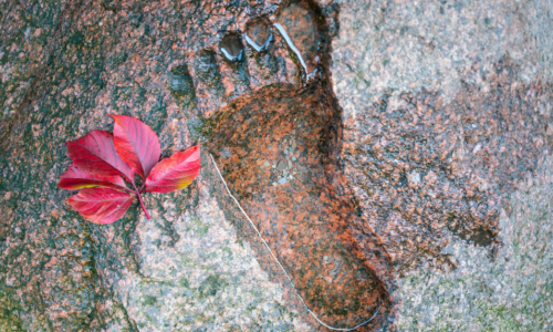 Footprint in stone